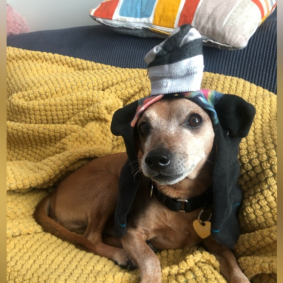 Meet your Posher, Becky - Picture 1 of 1